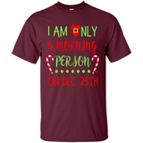 Funny Christmas Gift Santa - Shirt