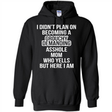 I Didn't Plan on Becoming a Grouchy Demanding
