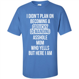 I Didn't Plan on Becoming a Grouchy Demanding