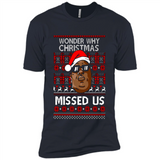 The Notorious BIG - I Wonder Why Christmas Missed Us