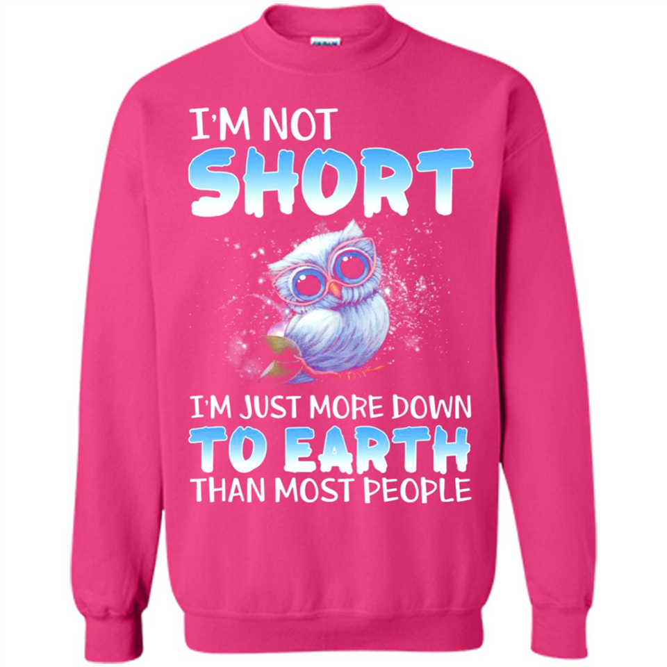 The owl I'm not short I just more down to Earth than most people - Sweatshirt