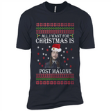 All I Want For Christmas Is Post Malone