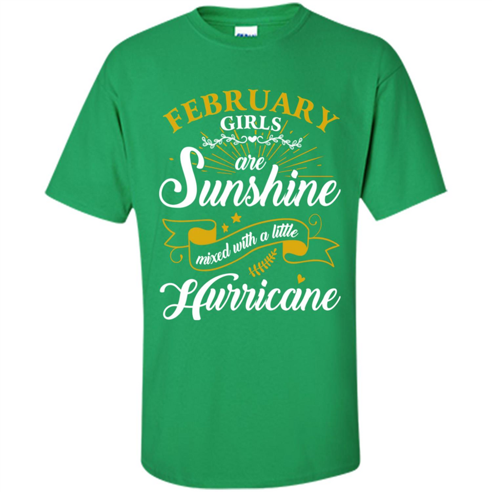 February Girl Are Sunshine Mixed With a Little Hurricane