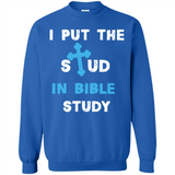 I PUT THE STUD IN BIBLE STUDY CROSS