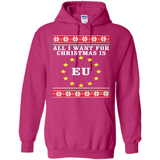 All I want for Christmas is EU ugly - Hoodie