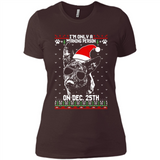 Morning Person Dutch Shepherd Funny Xmas - Ladies' Boyfriend T-Shirt