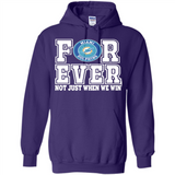 Miami Dolphins Forever For ever not just when we win - Hoodie