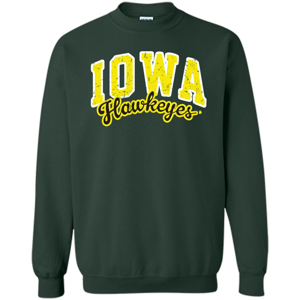 University of Iowa Hawkeyes NCAA