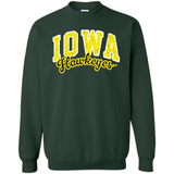 University of Iowa Hawkeyes NCAA