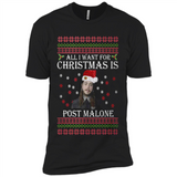 All I Want For Christmas Is Post Malone