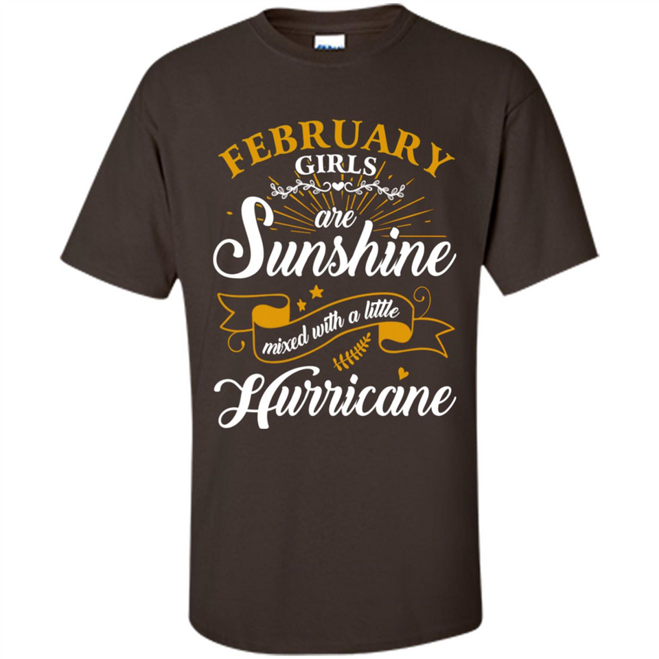 February Girl Are Sunshine Mixed With a Little Hurricane