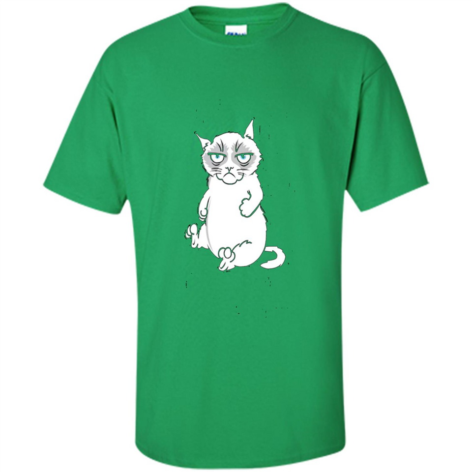annoyed kitty touchy kitty grouchy ball of fur noody kitty PING PONG