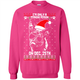 Morning Person Dutch Shepherd Funny Xmas - Sweatshirt
