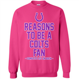 Reasons to be a Indianapolis Colts Fan Complete List on Back - Sweatshirt