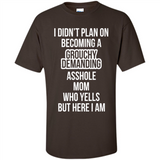 I Didn't Plan on Becoming a Grouchy Demanding