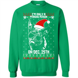 Morning Person Dutch Shepherd Funny Xmas - Sweatshirt
