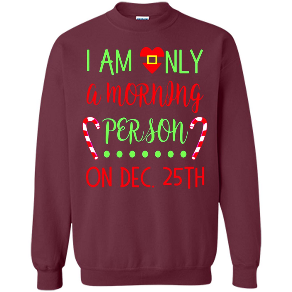 Funny Christmas Gift Santa - Sweatshirt