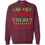 Funny Christmas Gift Santa - Sweatshirt