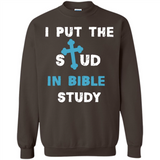 I PUT THE STUD IN BIBLE STUDY CROSS
