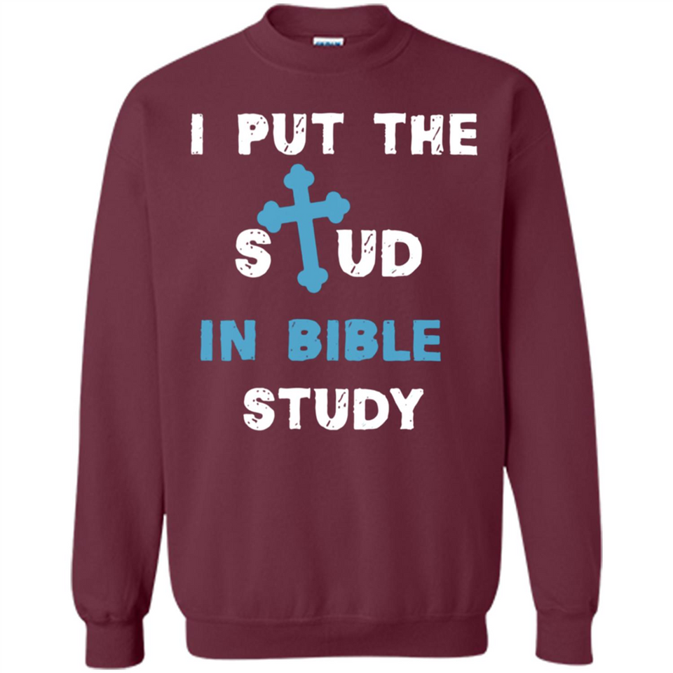 I PUT THE STUD IN BIBLE STUDY CROSS
