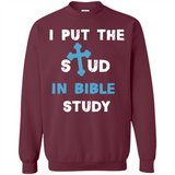 I PUT THE STUD IN BIBLE STUDY CROSS