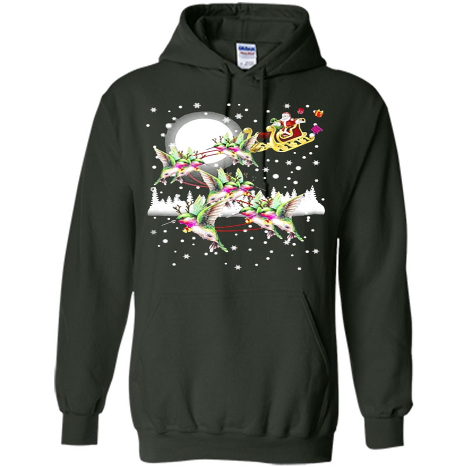 Hummingbird Santa Sleigh - Hoodie