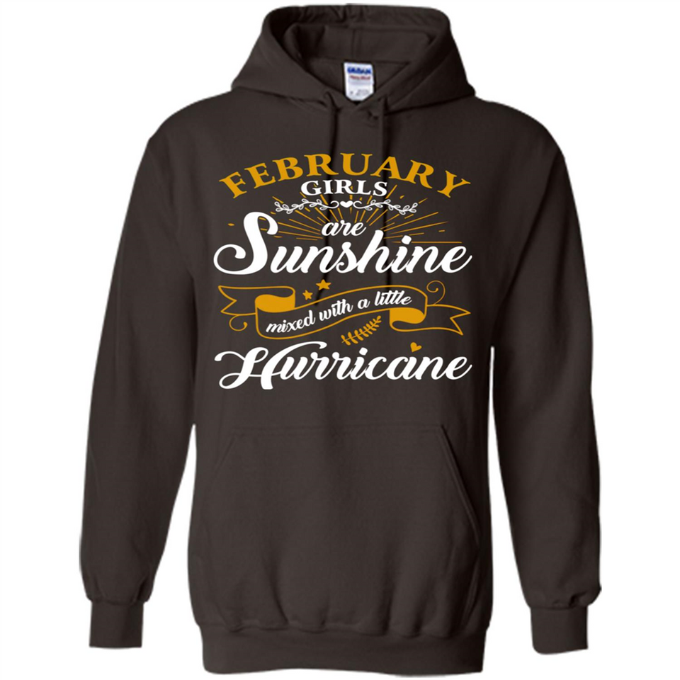 February Girl Are Sunshine Mixed With a Little Hurricane