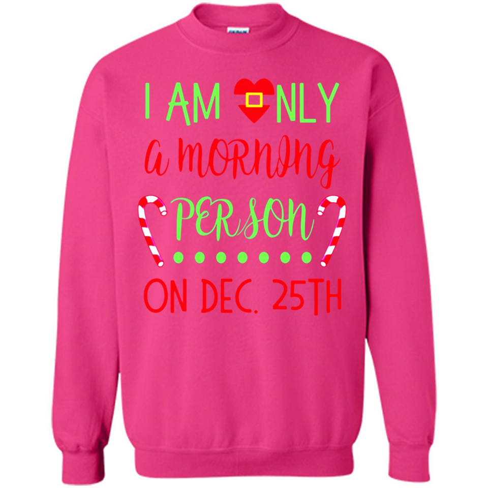 Funny Christmas Gift Santa - Sweatshirt