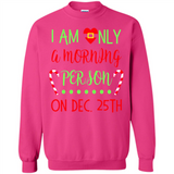 Funny Christmas Gift Santa - Sweatshirt