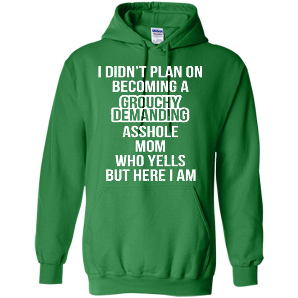 I Didn't Plan on Becoming a Grouchy Demanding