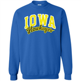 University of Iowa Hawkeyes NCAA