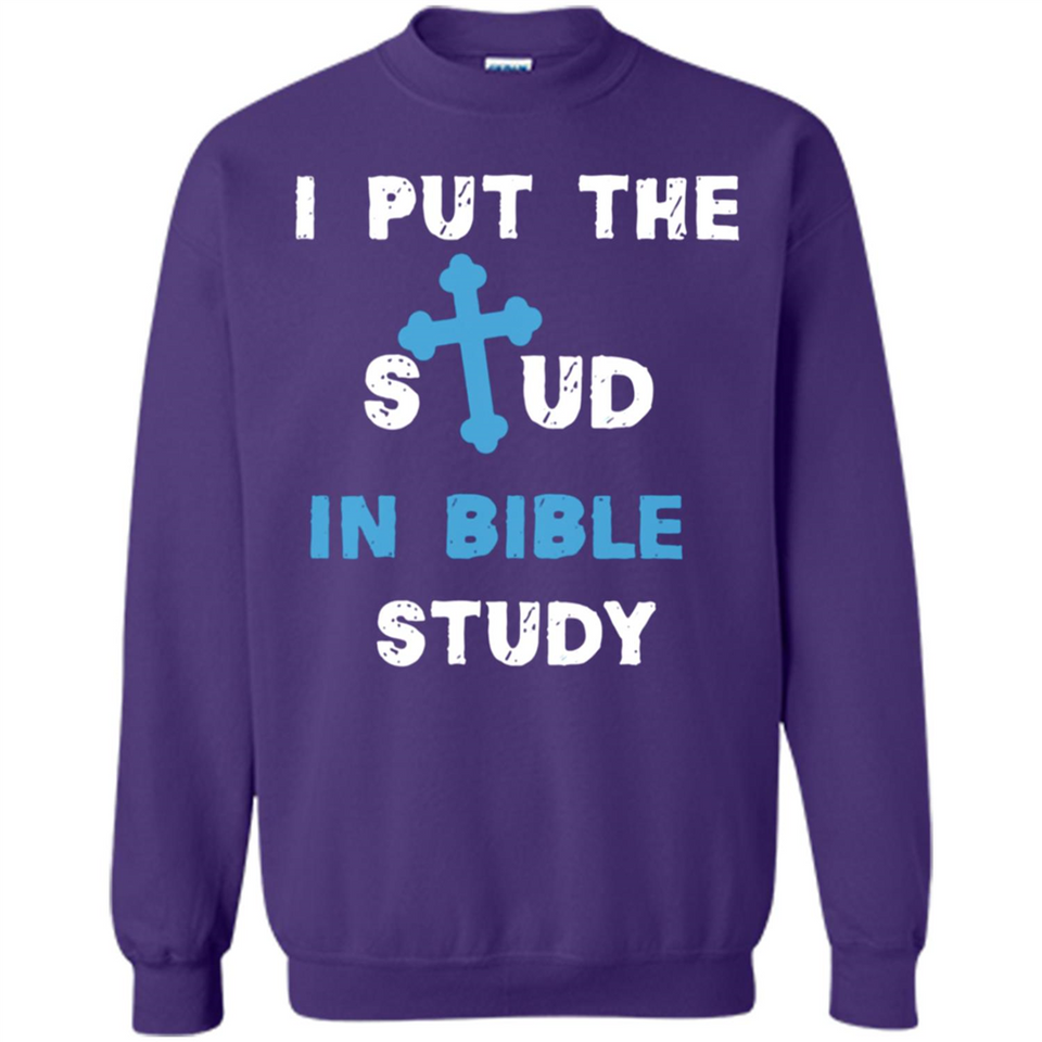 I PUT THE STUD IN BIBLE STUDY CROSS