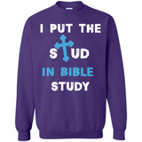 I PUT THE STUD IN BIBLE STUDY CROSS