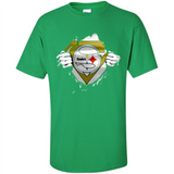 Pittsburgh Steelers And Superman Fans
