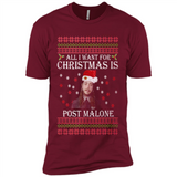 All I Want For Christmas Is Post Malone