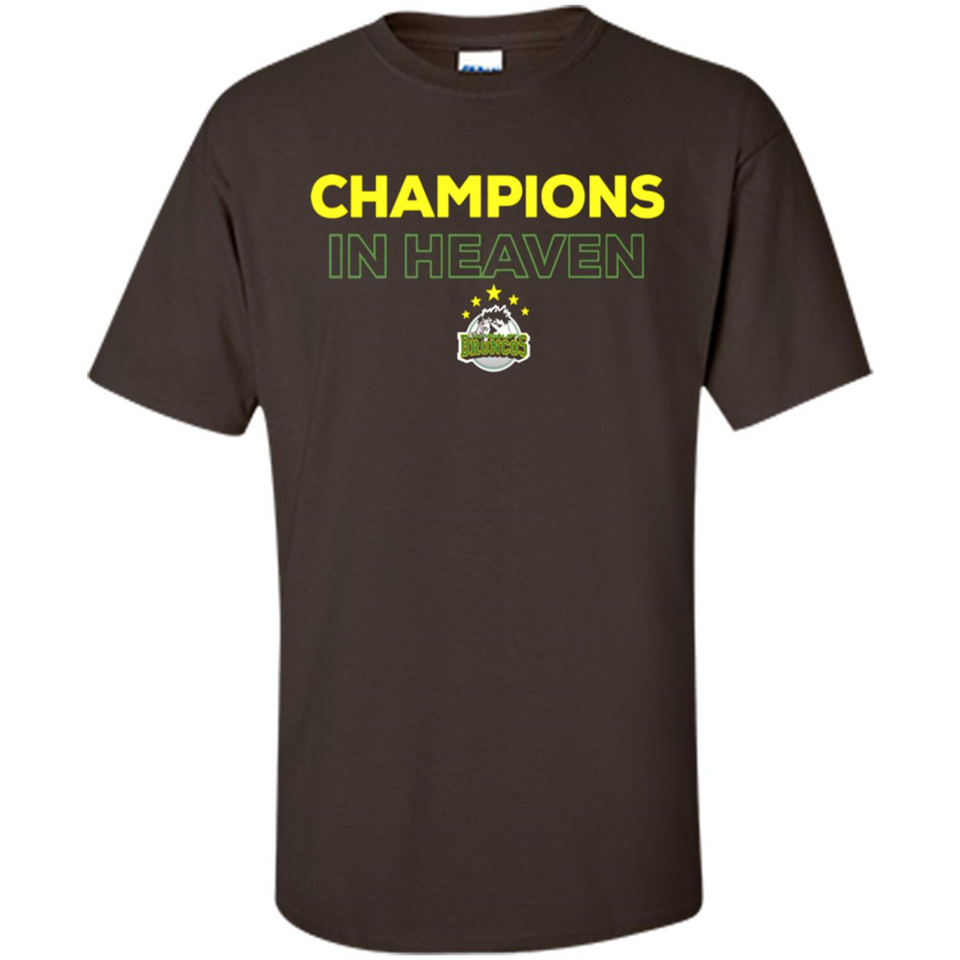 HUMBOLDT BRONCOS CHAMPIONS IN HEAVEN