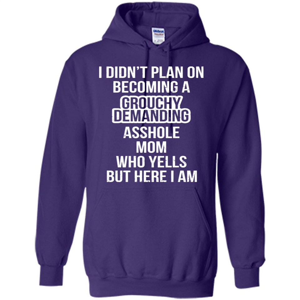 I Didn't Plan on Becoming a Grouchy Demanding