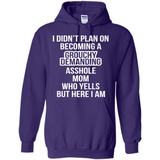I Didn't Plan on Becoming a Grouchy Demanding