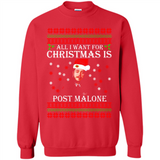 All I want for Christmas is Post Malone PINGPONG