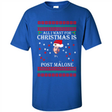 All I want for Christmas is Post Malone PINGPONG