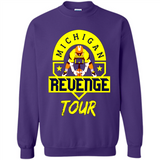 Michigan Revenge Tour Fan PINGPONG