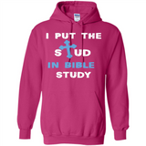 I PUT THE STUD IN BIBLE STUDY CROSS