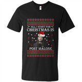 All I Want For Christmas Is Post Malone