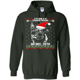 Morning Person Dutch Shepherd Funny Xmas - Hoodie