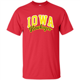 University of Iowa Hawkeyes NCAA