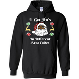 I Got Ho's Santa Christmas - Hoodie