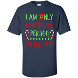 Funny Christmas Gift Santa - Shirt