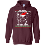 Morning Person Dutch Shepherd Funny Xmas - Hoodie