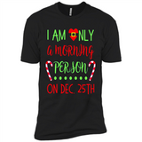 Funny Christmas Gift Santa - Premium Short Sleeve T-Shirt