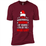 I'm a Kindergarten Teacher Christmas PINGPONG